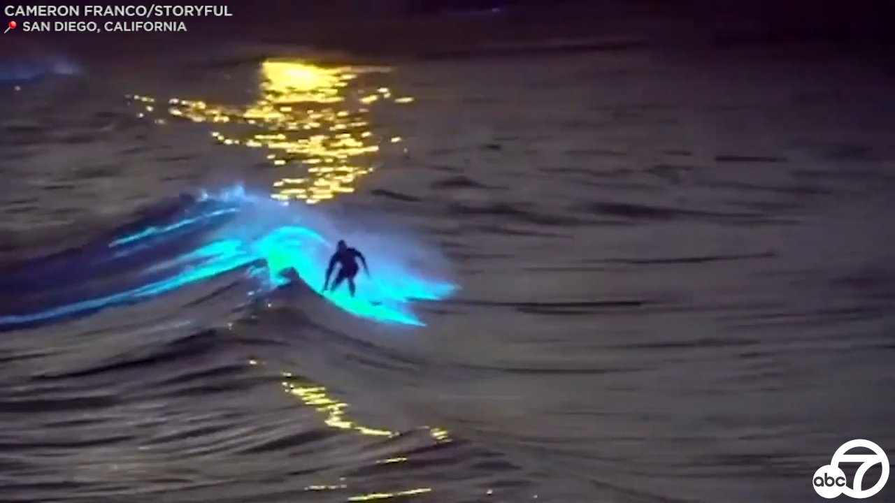 How Beautiful is this? Rare neon blue waves due to bioluminescence
